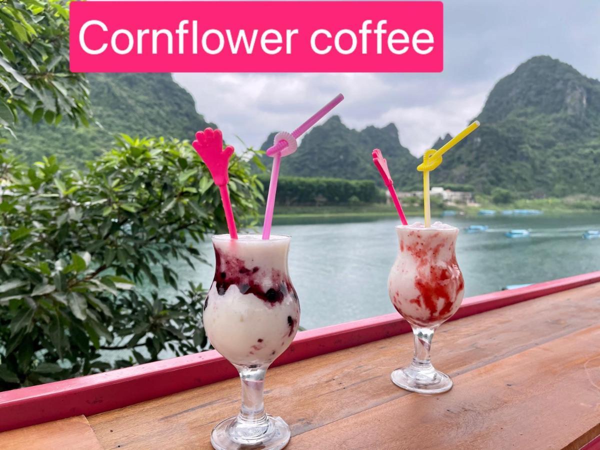 Cornflower Homestay フォンニャ エクステリア 写真