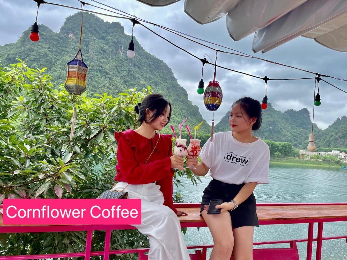 Cornflower Homestay フォンニャ エクステリア 写真